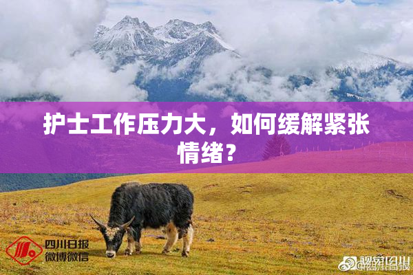 护士工作压力大，如何缓解紧张情绪？