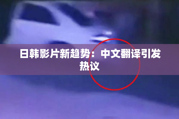 日韩影片新趋势：中文翻译引发热议