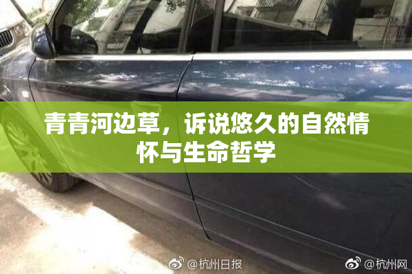 青青河边草，诉说悠久的自然情怀与生命哲学