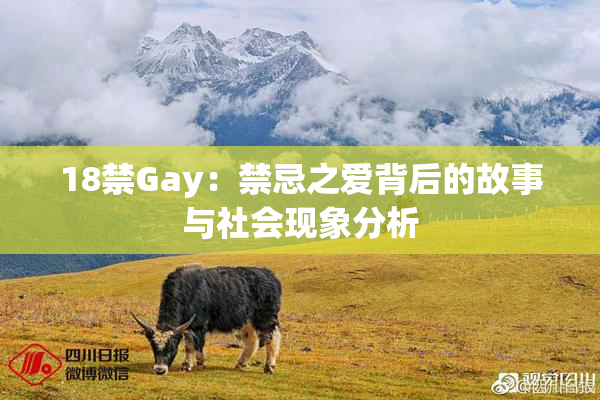 18禁Gay：禁忌之爱背后的故事与社会现象分析