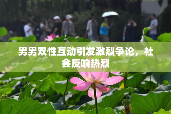 男男双性互动引发激烈争论，社会反响热烈