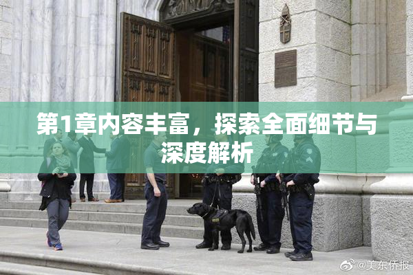 第1章内容丰富，探索全面细节与深度解析