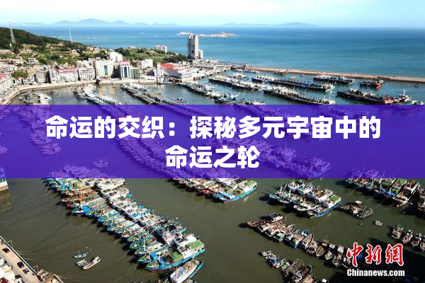 命运的交织：探秘多元宇宙中的命运之轮