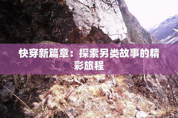 快穿新篇章：探索另类故事的精彩旅程