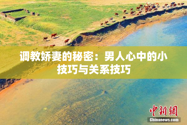 调教娇妻的秘密：男人心中的小技巧与关系技巧