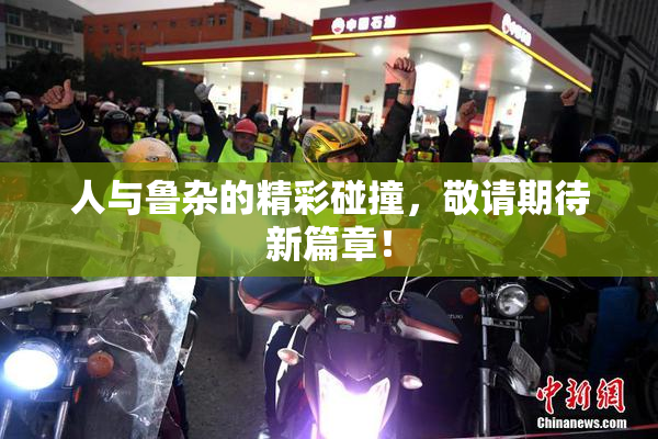 人与鲁杂的精彩碰撞，敬请期待新篇章！