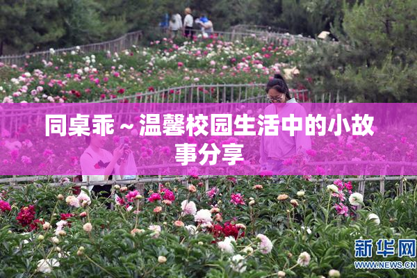 同桌乖～温馨校园生活中的小故事分享