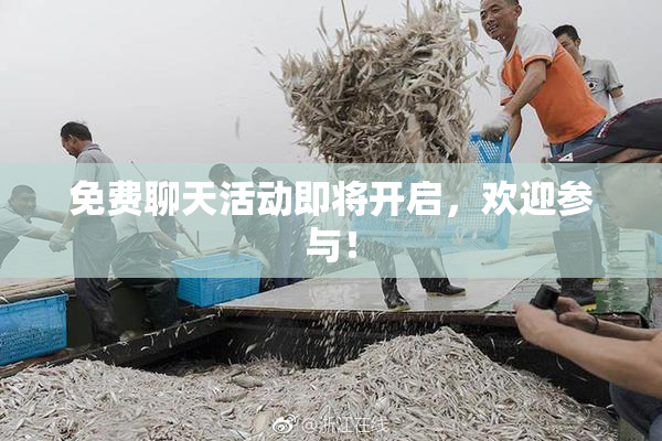 免费聊天活动即将开启，欢迎参与！