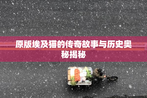 原版埃及猫的传奇故事与历史奥秘揭秘