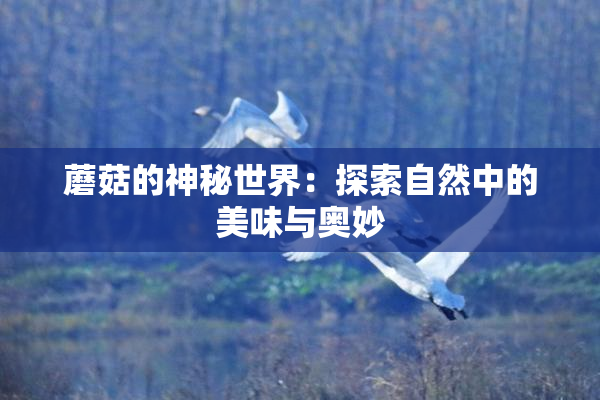 蘑菇的神秘世界：探索自然中的美味与奥妙