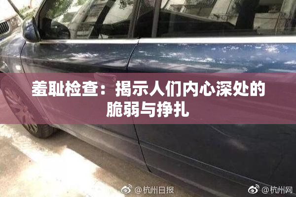 羞耻检查：揭示人们内心深处的脆弱与挣扎