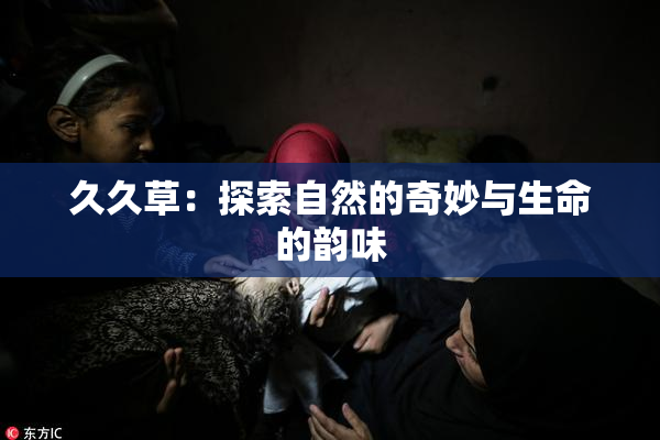 久久草：探索自然的奇妙与生命的韵味