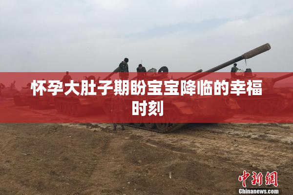 怀孕大肚子期盼宝宝降临的幸福时刻