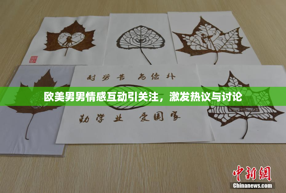 欧美男男情感互动引关注，激发热议与讨论