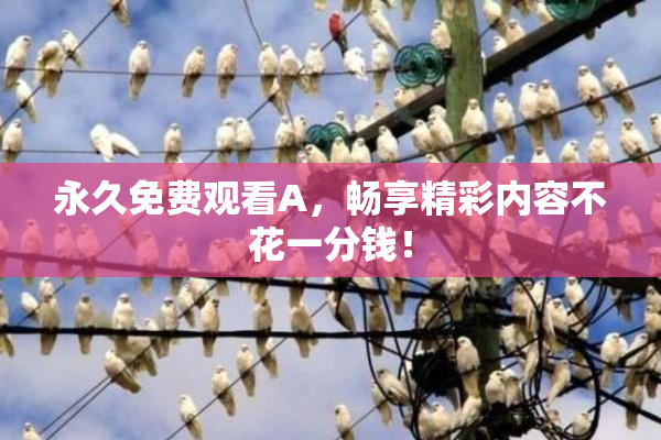 永久免费观看A，畅享精彩内容不花一分钱！