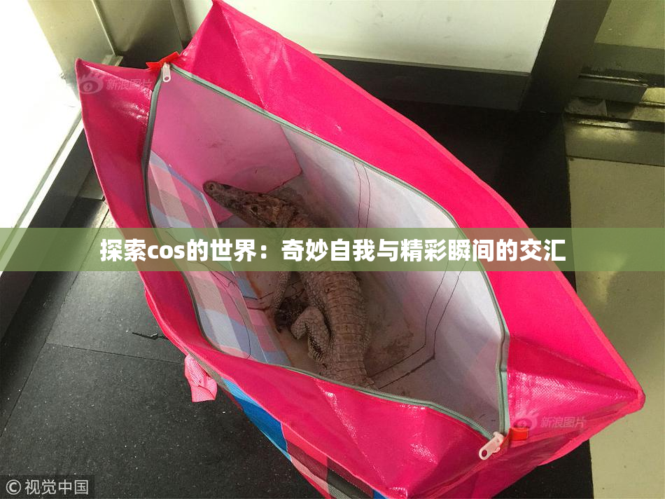 探索cos的世界：奇妙自我与精彩瞬间的交汇
