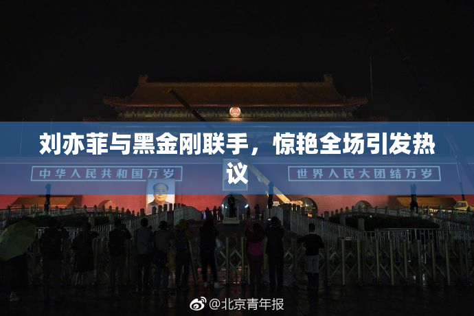 刘亦菲与黑金刚联手，惊艳全场引发热议