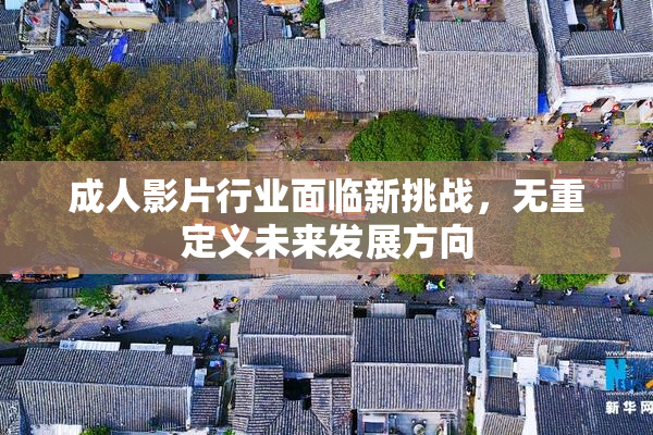 成人影片行业面临新挑战，无重定义未来发展方向