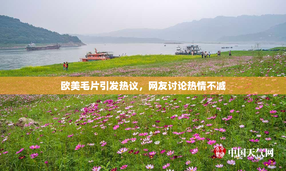 欧美毛片引发热议，网友讨论热情不减