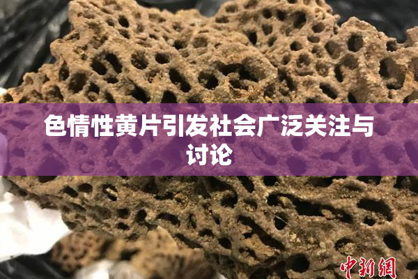 色情性黄片引发社会广泛关注与讨论