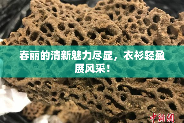 春丽的清新魅力尽显，衣衫轻盈展风采！