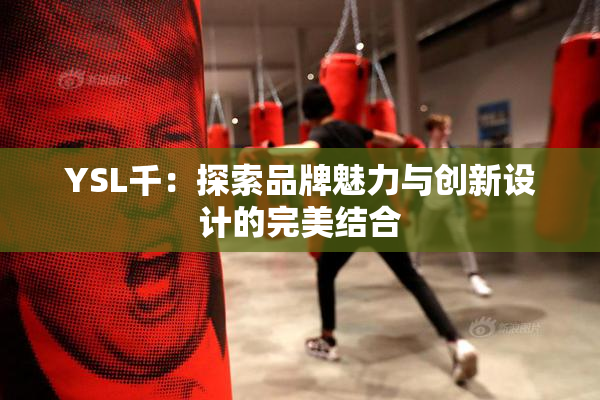 YSL千：探索品牌魅力与创新设计的完美结合