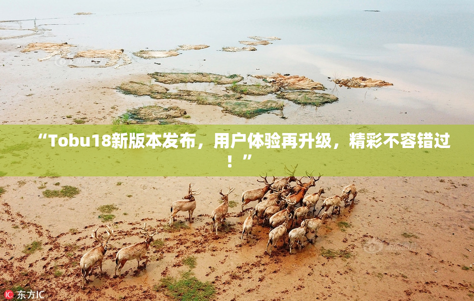 “Tobu18新版本发布，用户体验再升级，精彩不容错过！”