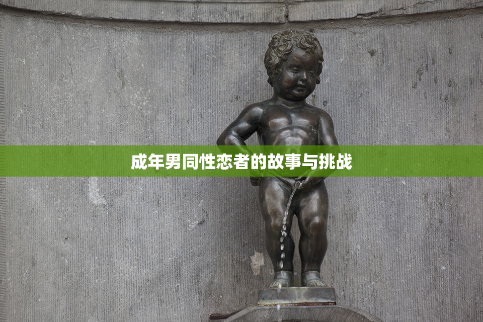 成年男同性恋者的故事与挑战