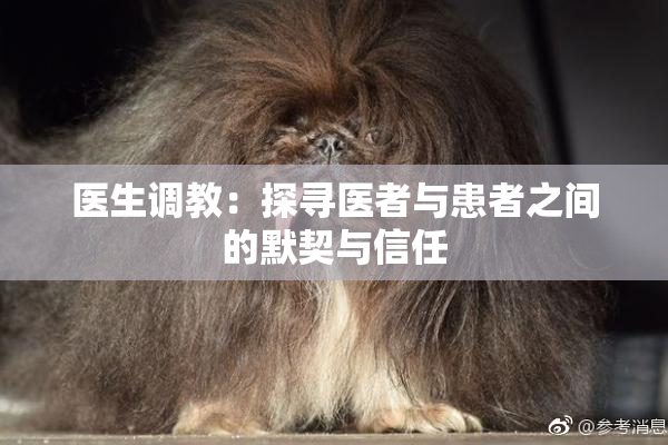 医生调教：探寻医者与患者之间的默契与信任
