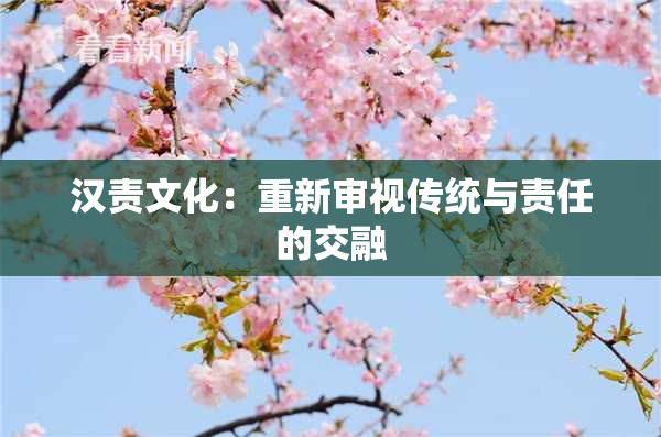 汉责文化：重新审视传统与责任的交融