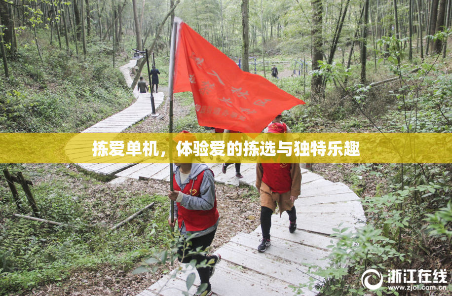 拣爱单机，体验爱的拣选与独特乐趣