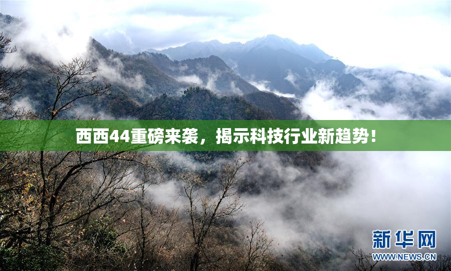 西西44重磅来袭，揭示科技行业新趋势！