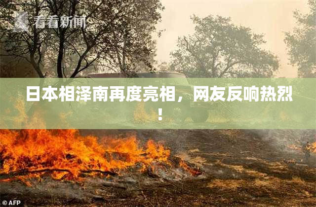 日本相泽南再度亮相，网友反响热烈！