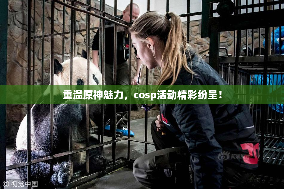 重温原神魅力，cosp活动精彩纷呈！
