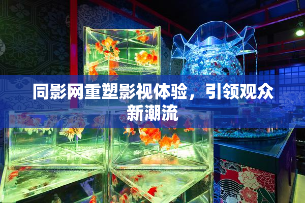 同影网重塑影视体验，引领观众新潮流