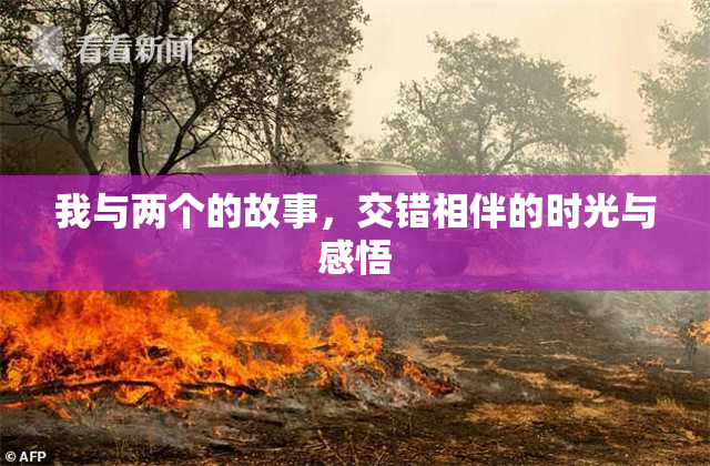 我与两个的故事，交错相伴的时光与感悟