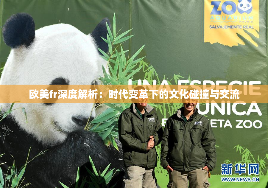 欧美fr深度解析：时代变革下的文化碰撞与交流