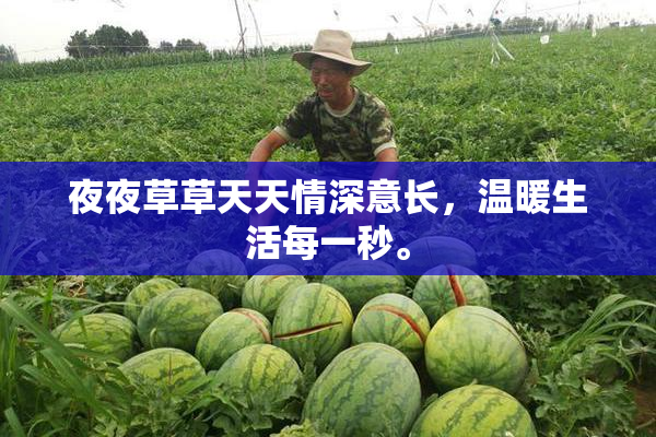 夜夜草草天天情深意长，温暖生活每一秒。