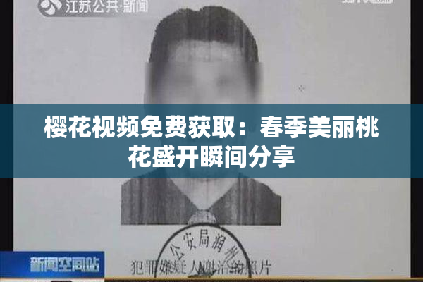 樱花视频免费获取：春季美丽桃花盛开瞬间分享