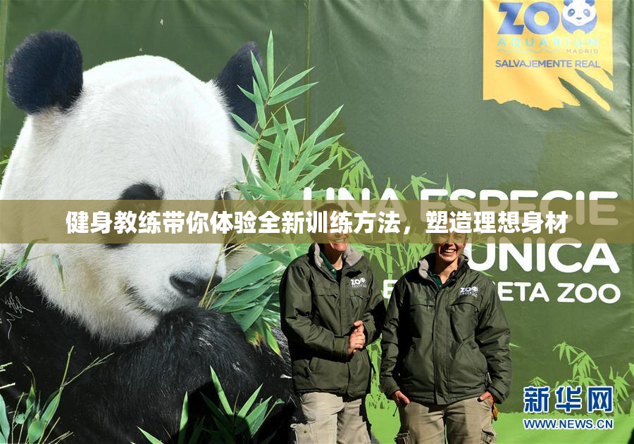 健身教练带你体验全新训练方法，塑造理想身材
