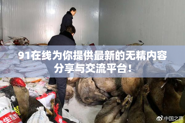 91在线为你提供最新的无精内容分享与交流平台！
