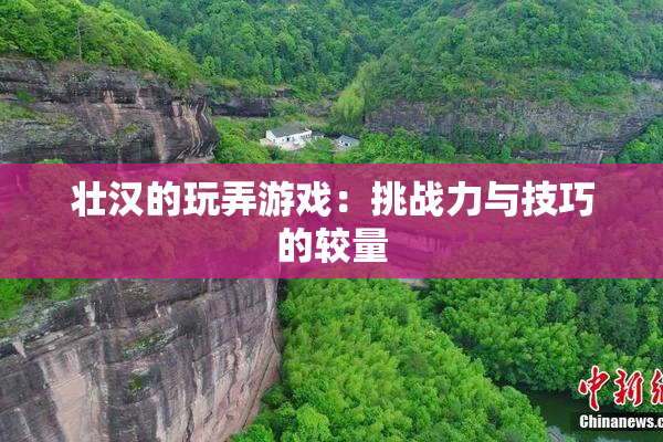 壮汉的玩弄游戏：挑战力与技巧的较量