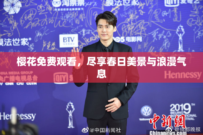 樱花免费观看，尽享春日美景与浪漫气息
