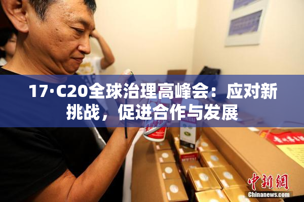 17·C20全球治理高峰会：应对新挑战，促进合作与发展
