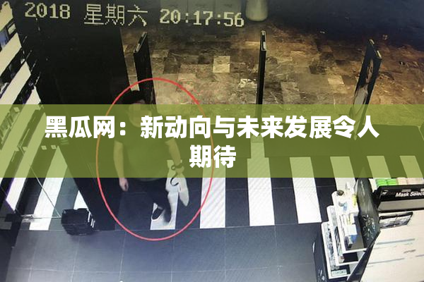 黑瓜网：新动向与未来发展令人期待