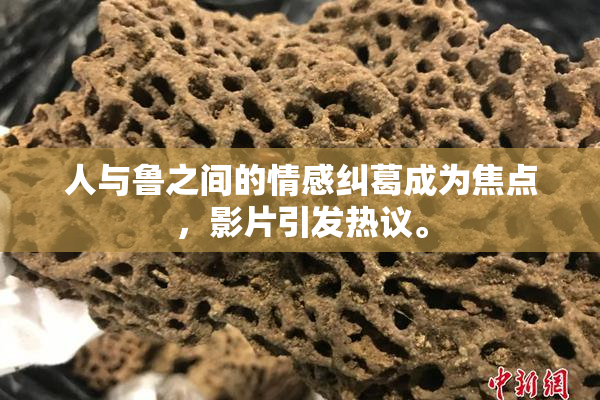 人与鲁之间的情感纠葛成为焦点，影片引发热议。