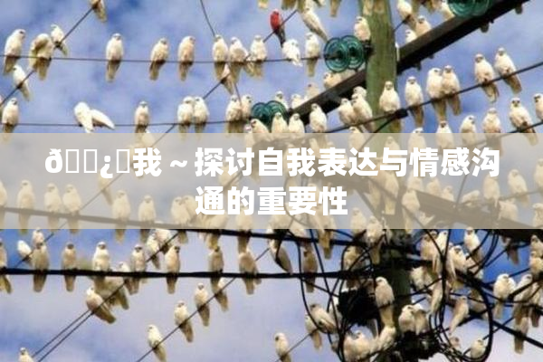 🌿‌我～探讨自我表达与情感沟通的重要性
