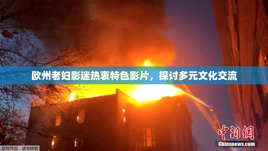 欧州老妇影迷热衷特色影片，探讨多元文化交流