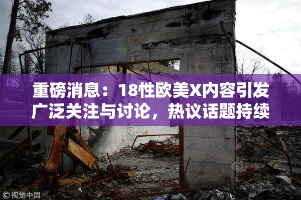 重磅消息：18性欧美X内容引发广泛关注与讨论，热议话题持续升温！