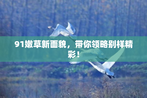 91嫩草新面貌，带你领略别样精彩！